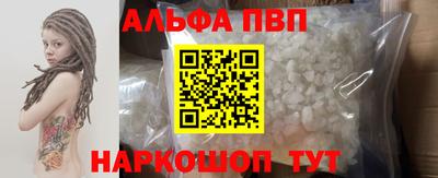 твердый Кингисепп