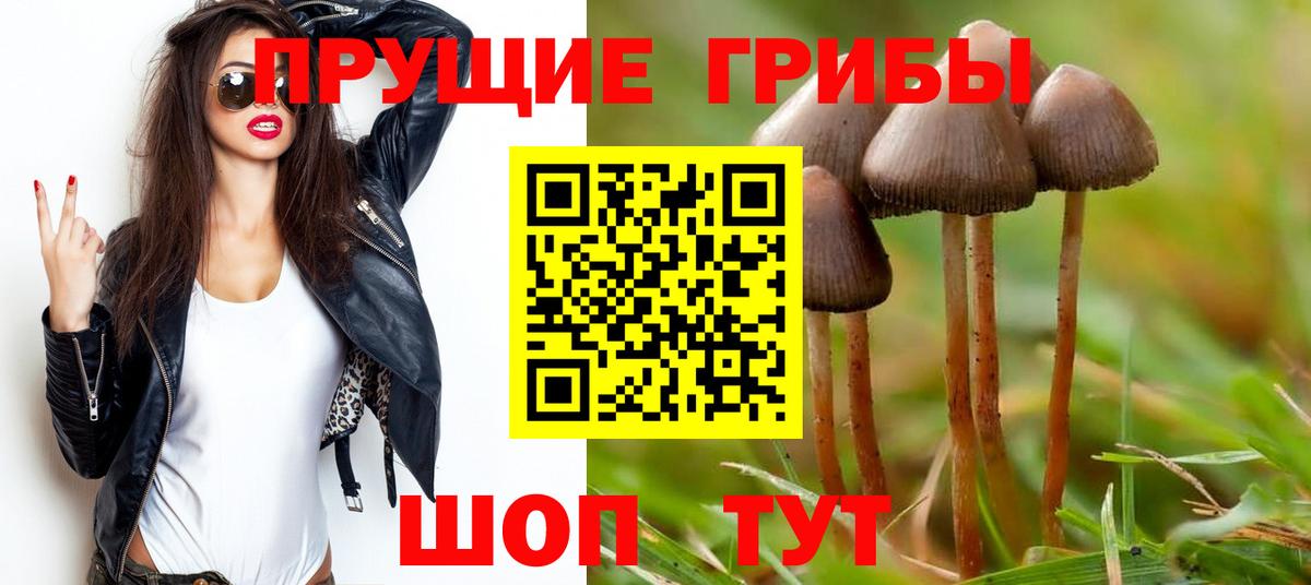 Галлюциногенные грибы Cubensis Кунгур